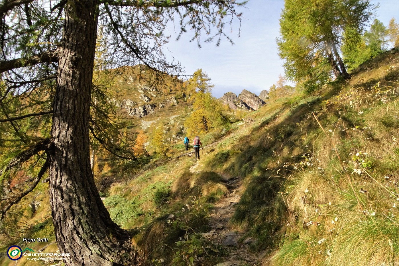 19 Usciti dall'abetaia attraversiamo un rado lariceto colorato d'autunno.JPG